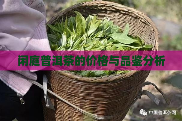 闲庭普洱茶的价格与品鉴分析