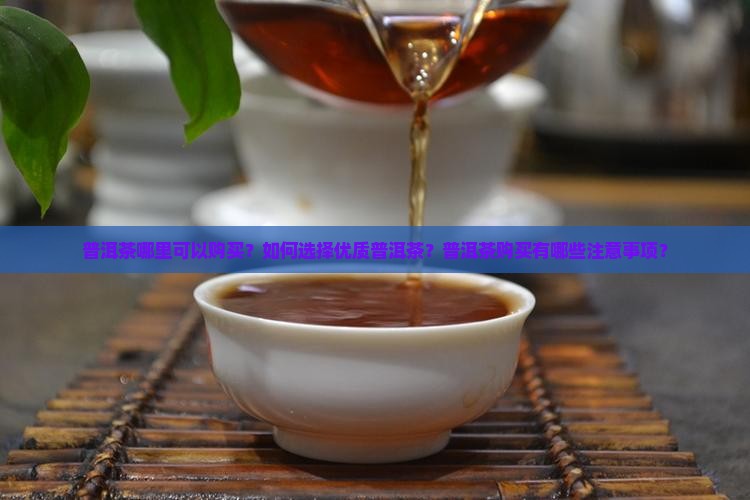 普洱茶哪里可以购买？如何选择优质普洱茶？普洱茶购买有哪些注意事项？