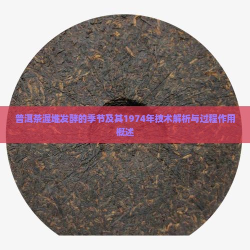 普洱茶渥堆发酵的季节及其1974年技术解析与过程作用概述