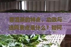 普洱茶的特点、功效与选购要点是什么？如何辨别普洱茶的品质与年份？