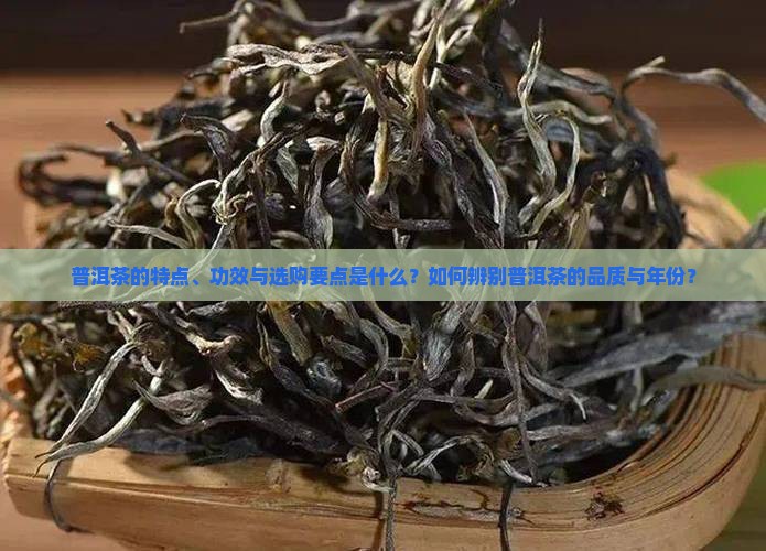 普洱茶的特点、功效与选购要点是什么？如何辨别普洱茶的品质与年份？