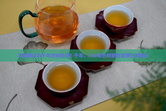 真的有冰岛千年古树茶吗？千年、300年古树茶数量及口感特点