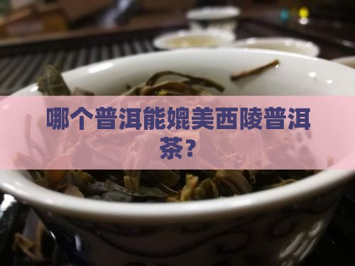 哪个普洱能媲美西陵普洱茶？