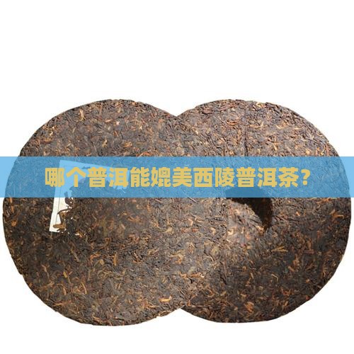 哪个普洱能媲美西陵普洱茶？