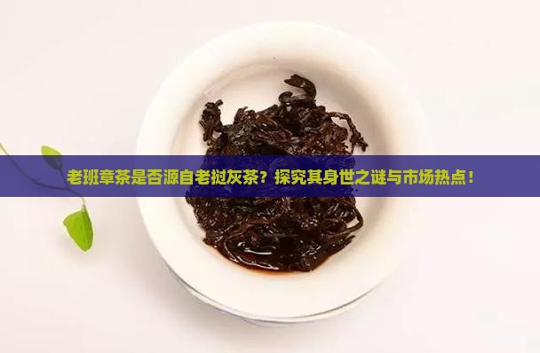 老班章茶是否源自老挝灰茶？探究其身世之谜与市场热点！