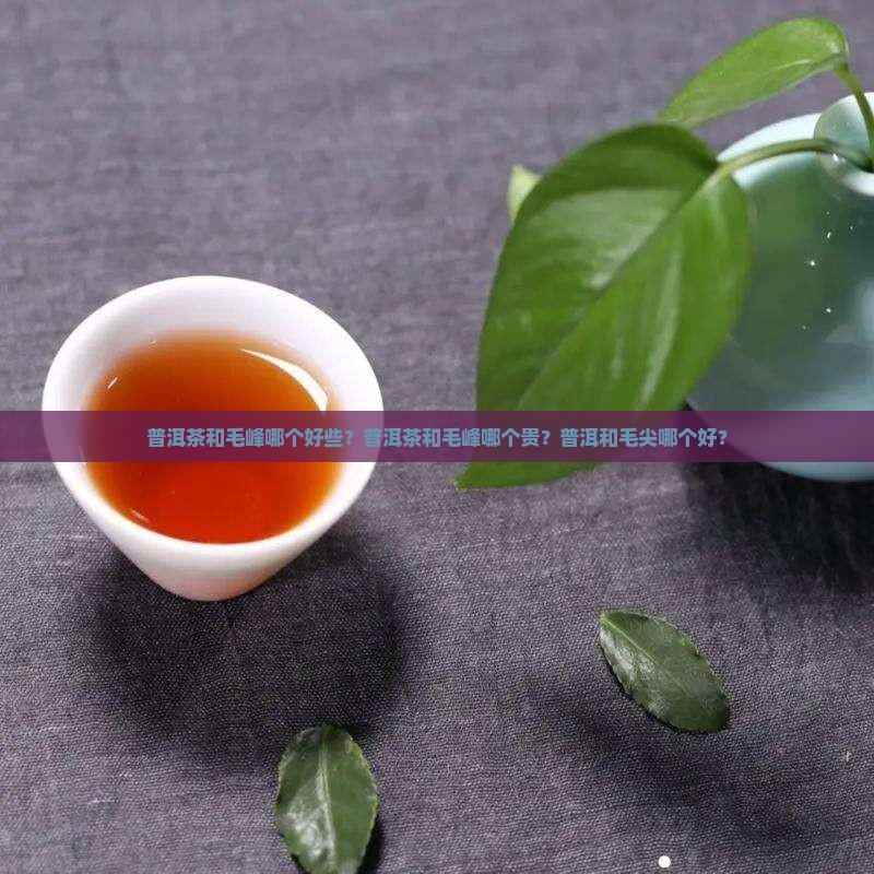 普洱茶和毛峰哪个好些？普洱茶和毛峰哪个贵？普洱和毛尖哪个好？