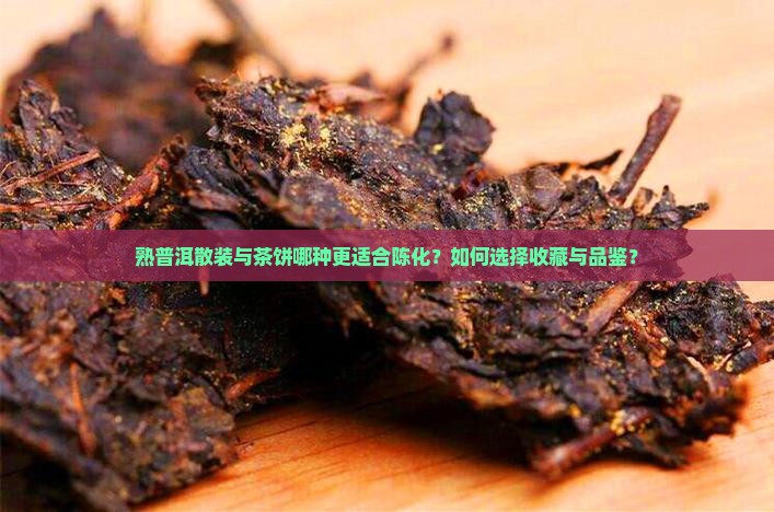 熟普洱散装与茶饼哪种更适合陈化？如何选择收藏与品鉴？
