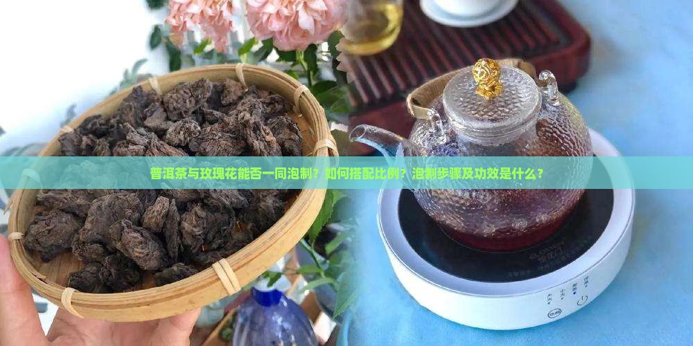 普洱茶与玫瑰花能否一同泡制？如何搭配比例？泡制步骤及功效是什么？