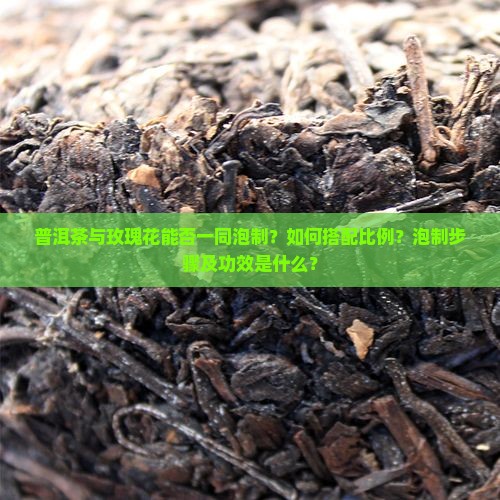普洱茶与玫瑰花能否一同泡制？如何搭配比例？泡制步骤及功效是什么？