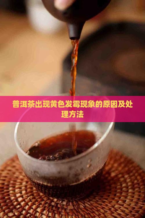 普洱茶出现黄色发霉现象的原因及处理方法