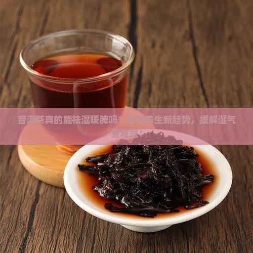 普洱茶真的能祛湿暖脾吗？冬季养生新趋势，缓解湿气重难题！
