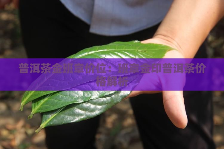 普洱茶金班章价位：班章金印普洱茶价格解析
