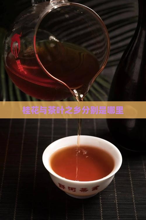 桂花与茶叶之乡分别是哪里