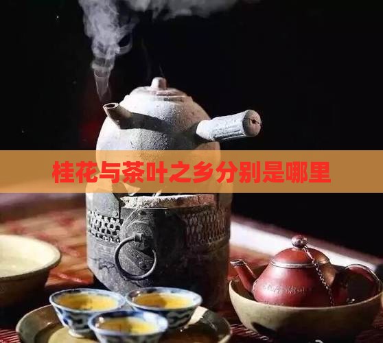 桂花与茶叶之乡分别是哪里