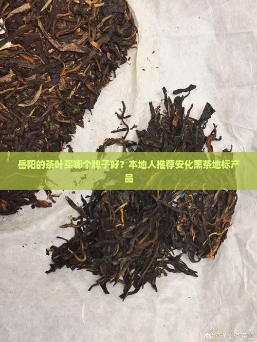 岳阳的茶叶买哪个牌子好？本地人推荐安化黑茶地标产品