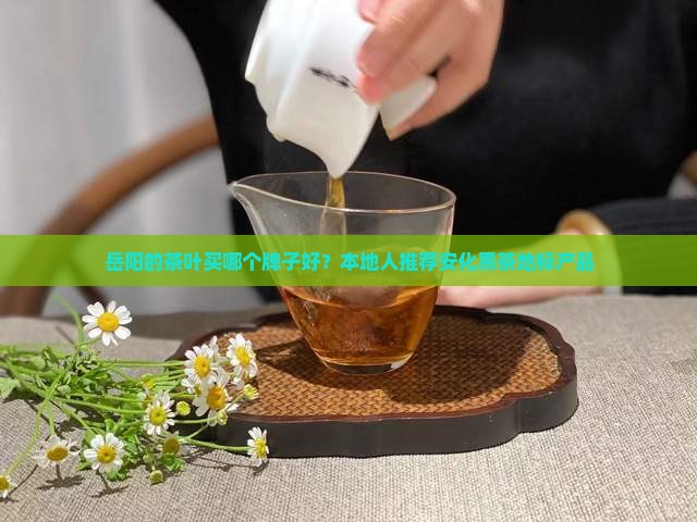 岳阳的茶叶买哪个牌子好？本地人推荐安化黑茶地标产品