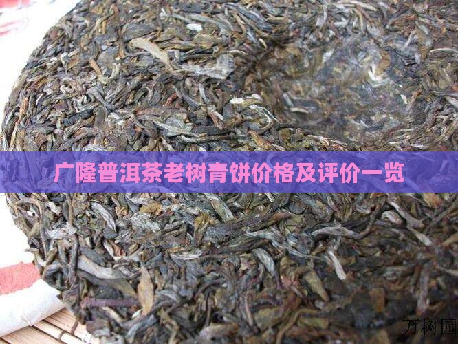广隆普洱茶老树青饼价格及评价一览