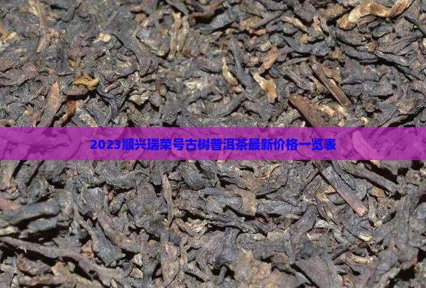 2023顺兴瑞荣号古树普洱茶最新价格一览表