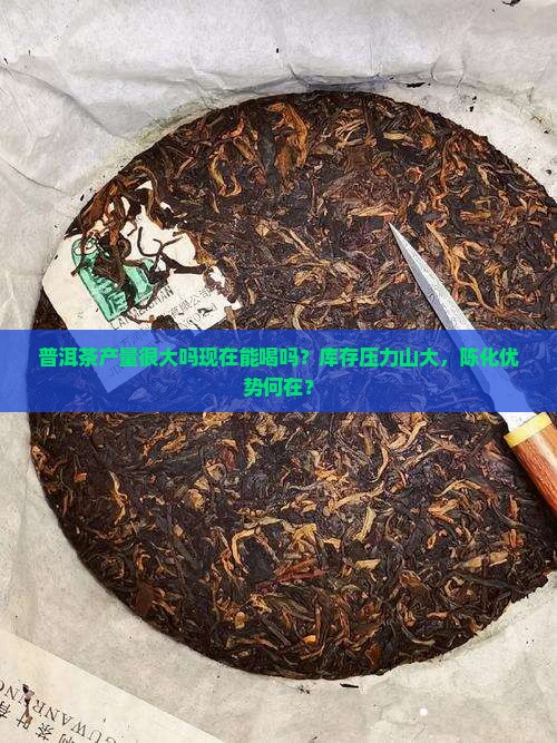 普洱茶产量很大吗现在能喝吗？库存压力山大，陈化优势何在？