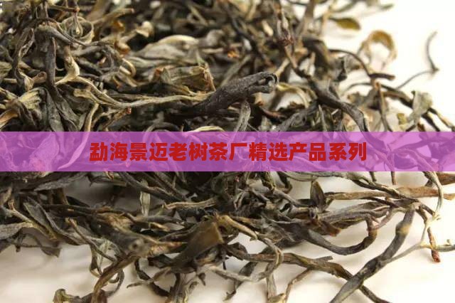 勐海景迈老树茶厂精选产品系列