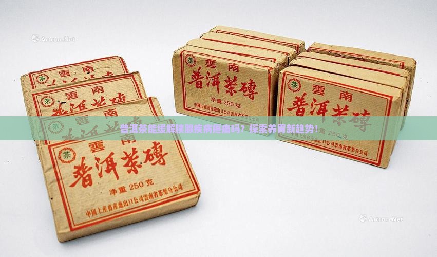 普洱茶能缓解胰腺疾病疼痛吗？探索养胃新趋势！