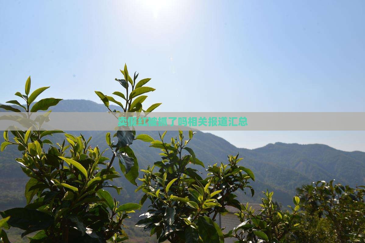 卖假红被抓了吗相关报道汇总
