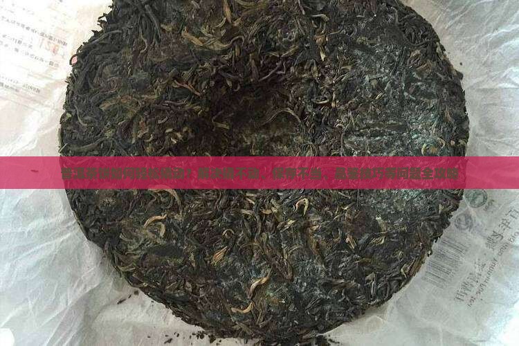 普洱茶饼如何轻松撬动？解决撬不动、保存不当、品鉴技巧等问题全攻略