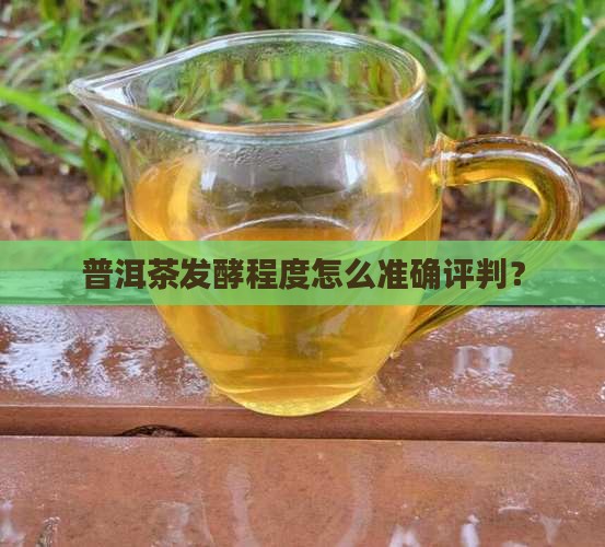 普洱茶发酵程度怎么准确评判? 普洱茶发酵程度怎么准确评判?