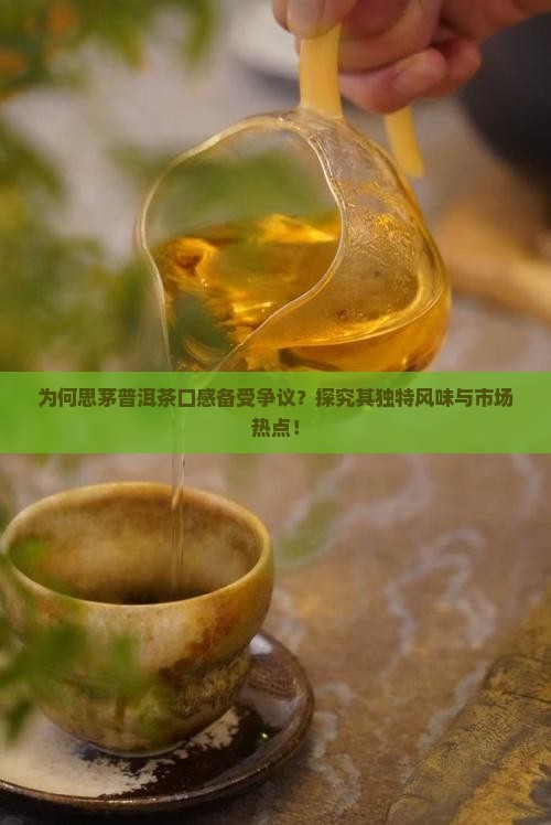 为何思茅普洱茶口感备受争议？探究其独特风味与市场热点！