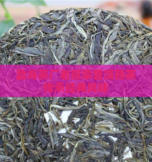 勐海茶厂老班章普洱熟茶传承经典风味