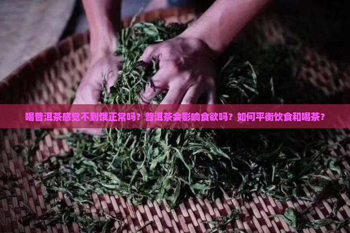 喝普洱茶感觉不到饿正常吗？普洱茶会影响食欲吗？如何平衡饮食和喝茶？