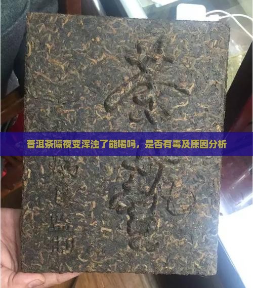 普洱茶隔夜变浑浊了能喝吗，是否有毒及原因分析