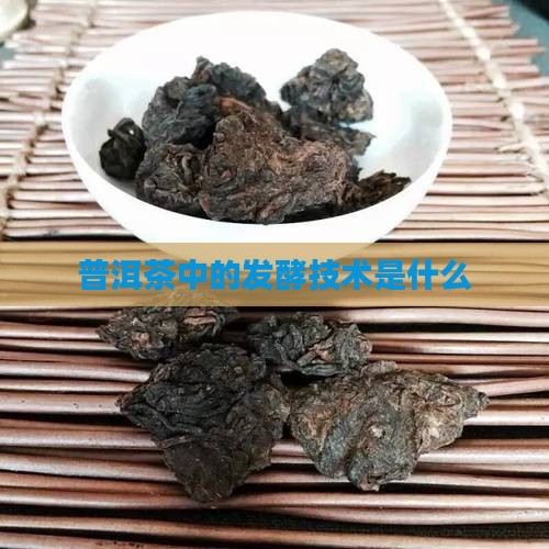 普洱茶中的发酵技术是什么