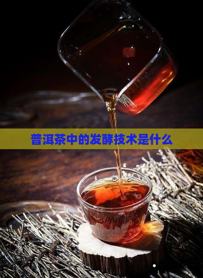 普洱茶中的发酵技术是什么