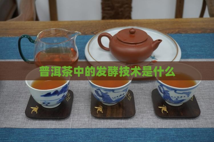 普洱茶中的发酵技术是什么