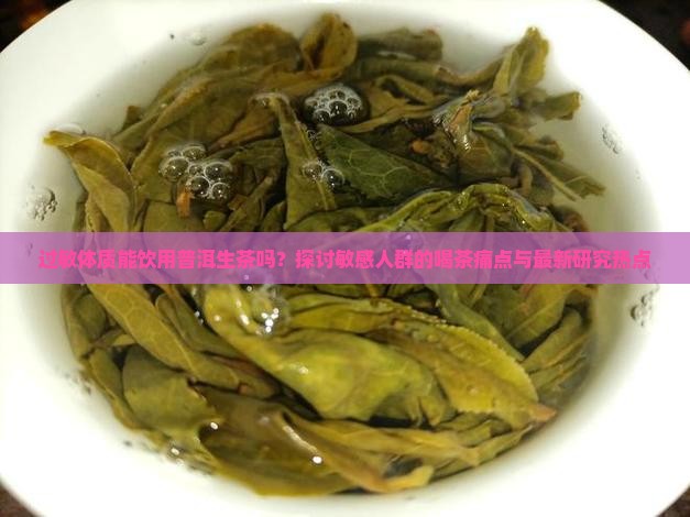 过敏体质能饮用普洱生茶吗？探讨敏感人群的喝茶痛点与最新研究热点