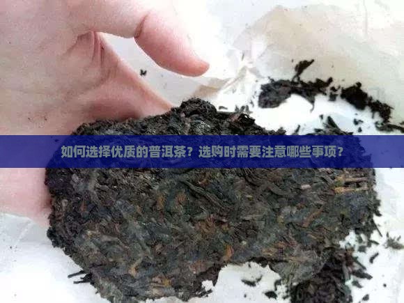 如何选择优质的普洱茶？选购时需要注意哪些事项？