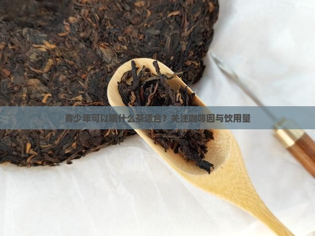 青少年可以喝什么茶适合？关注咖啡因与饮用量