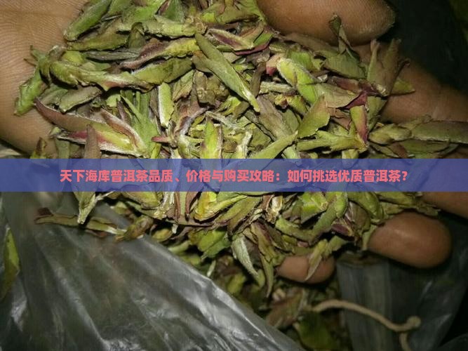 天下海库普洱茶品质、价格与购买攻略：如何挑选优质普洱茶？
