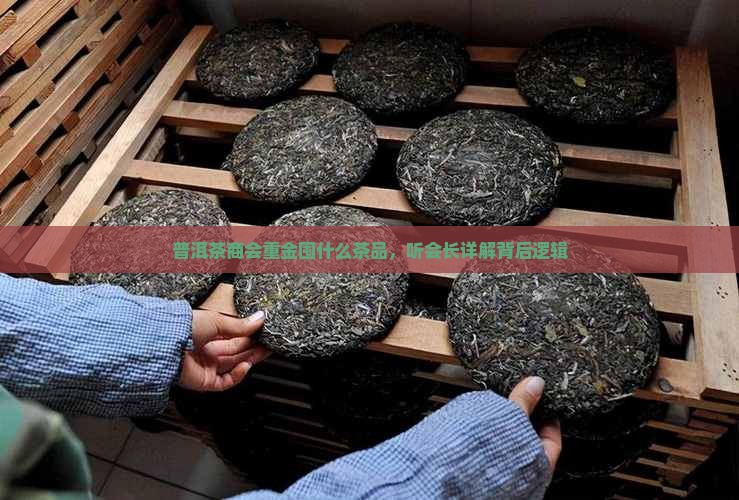 普洱茶商会重金囤什么茶品，听会长详解背后逻辑