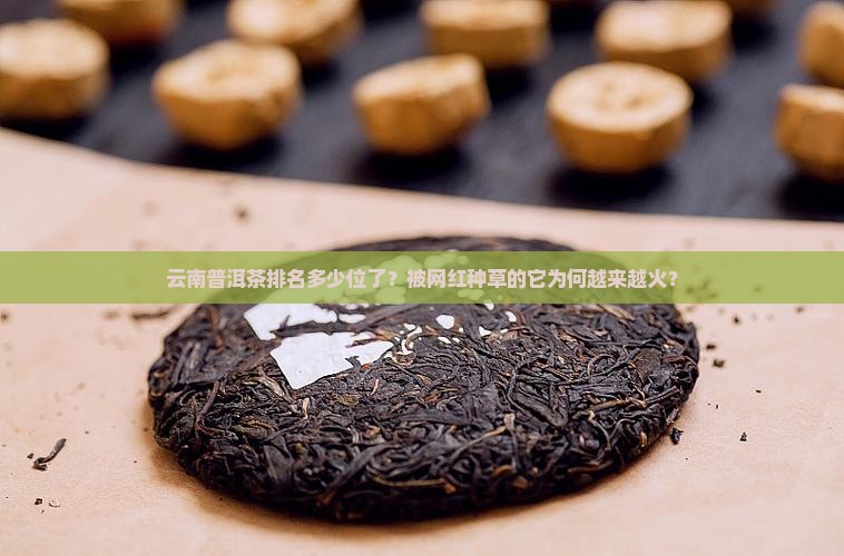 云南普洱茶排名多少位了？被网红种草的它为何越来越火？