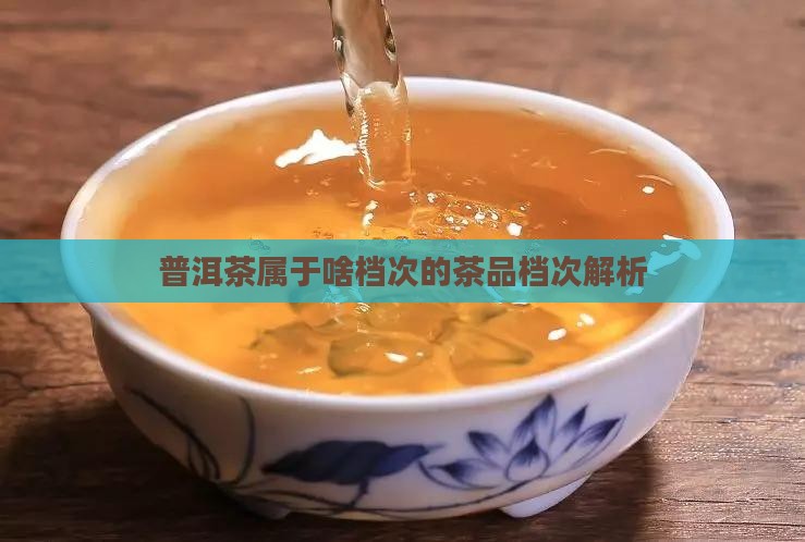 普洱茶属于啥档次的茶品档次解析