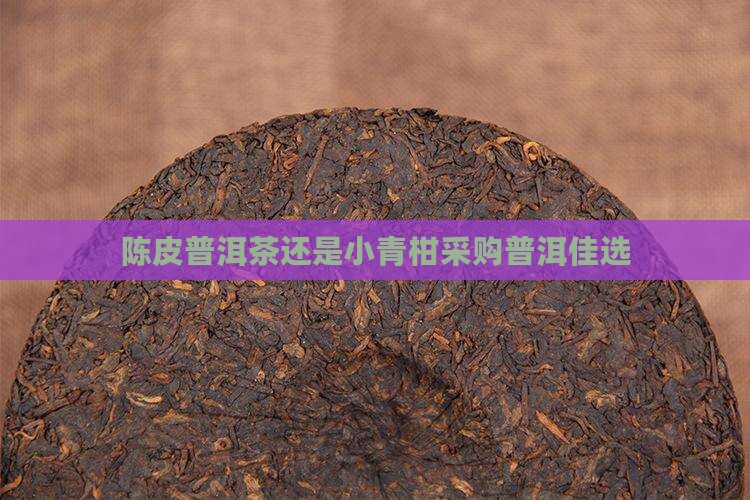 陈皮普洱茶还是小青柑采购普洱佳选