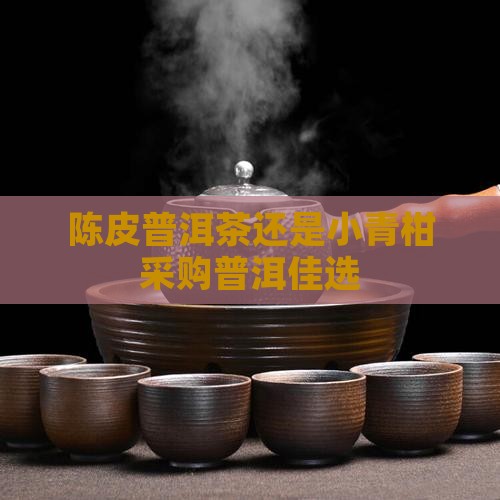 陈皮普洱茶还是小青柑采购普洱佳选