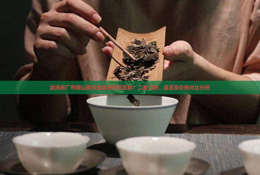 勐海茶厂布朗山茶与勐海茶有何区别？二者口感、品质及价格对比分析