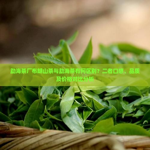 勐海茶厂布朗山茶与勐海茶有何区别？二者口感、品质及价格对比分析
