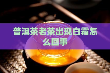 普洱茶老茶出现白霜怎么回事