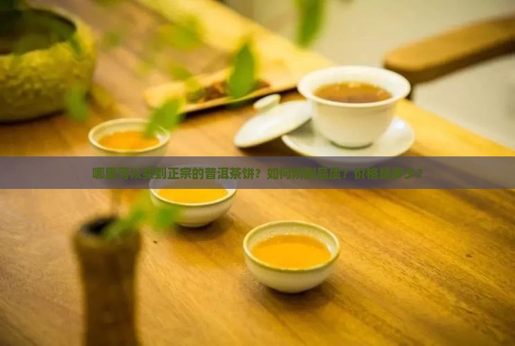 哪里可以买到正宗的普洱茶饼？如何辨别品质？价格是多少？