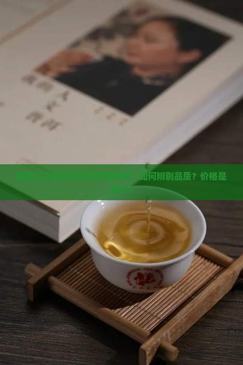 哪里可以买到正宗的普洱茶饼？如何辨别品质？价格是多少？