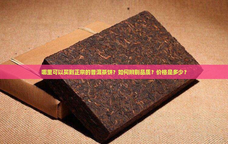 哪里可以买到正宗的普洱茶饼？如何辨别品质？价格是多少？